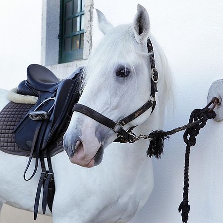 Arrabida Heritage @Portugal Luxury Retreat Guest House Azeitao Bagian luar foto