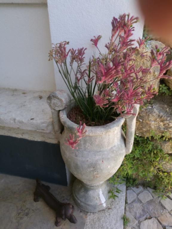 Arrabida Heritage @Portugal Luxury Retreat Guest House Azeitao Bagian luar foto