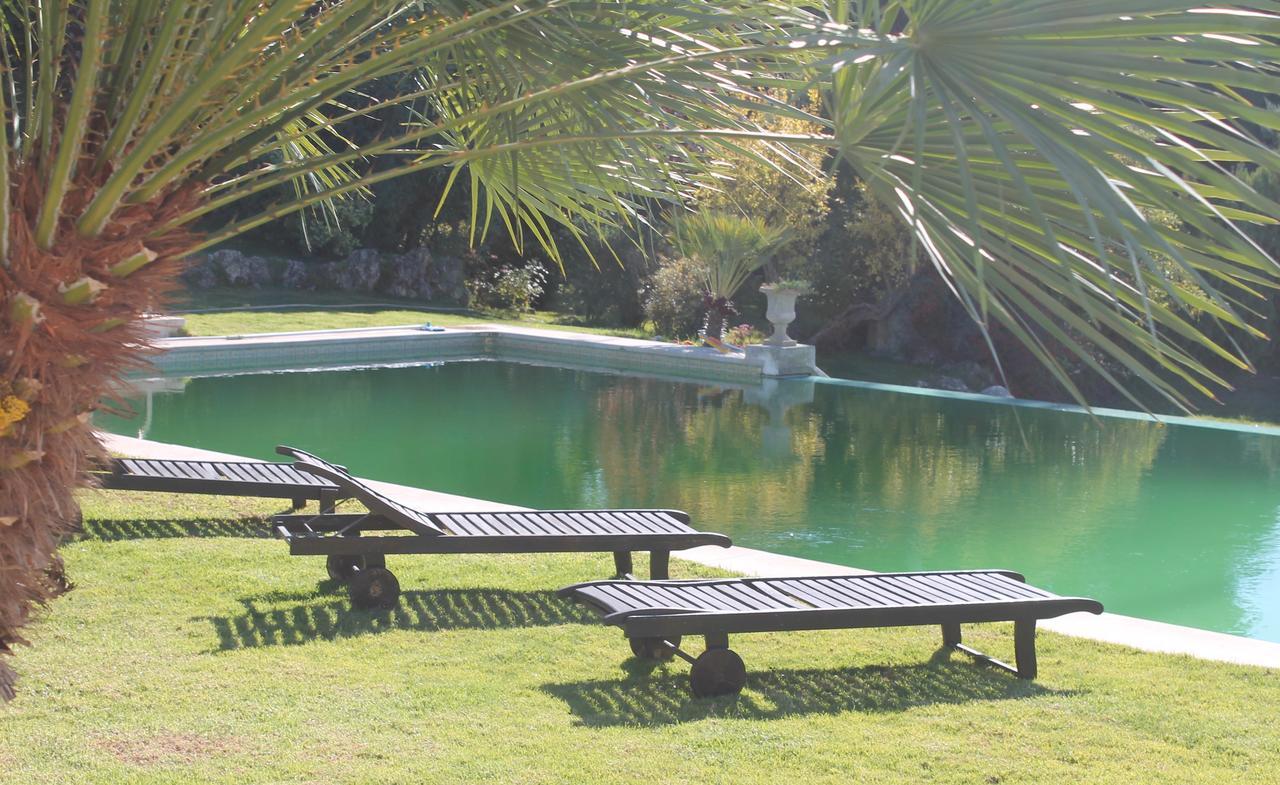 Arrabida Heritage @Portugal Luxury Retreat Guest House Azeitao Bagian luar foto