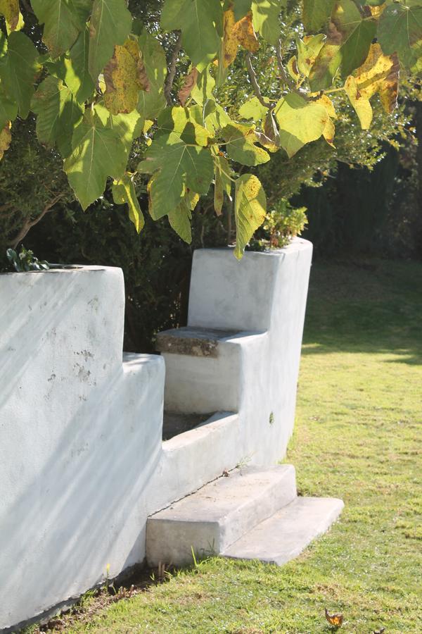 Arrabida Heritage @Portugal Luxury Retreat Guest House Azeitao Bagian luar foto