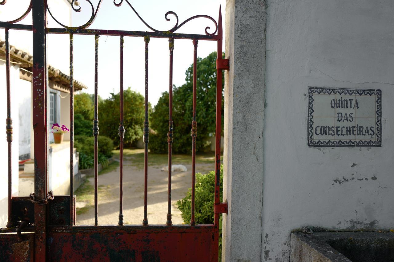 Arrabida Heritage @Portugal Luxury Retreat Guest House Azeitao Bagian luar foto